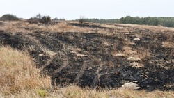 Чернянские спасатели напомнили об опасности пала сухой травы