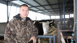 Анатолий Штоколов построил на месте старой фермы новый корпус с современной механизацией