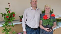 Зелёный вернисаж. Супруги Гостевы из Чернянки — о любимом занятии и жизни на пенсии