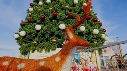 Культурно-досуговые и спортивные учреждения округа будут ждать чернянцев в праздничные дни