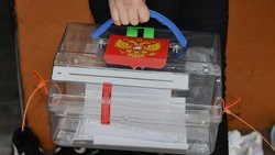 Чернянская ТИК проинформировала о формах голосования на выборах президента РФ