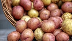 Чернянские кооперативы закупят излишки овощей у населения