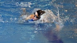 Чернянцы завоевали 19 золотых медалей на спартакиаде по плаванию