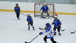 Дети и родители встретились в хоккейном матче на чернянской ледовой арене «Айсберг»