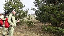 Учения по ликвидации ландшафтного пожара прошли в Чернянском округе