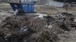 Татьяна Круглякова подписала распоряжение о санитарно-экологическом месячнике в Чернянском районе