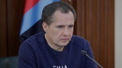 Вячеслав Гладков поручил приступить к восстановлению пострадавших домов