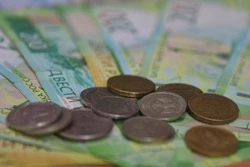 Белгородцы уплатили в 2025 году в бюджет РФ более 276,1 млрд рублей налогов и сборов