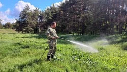 Экстренные службы Чернянского района провели учения по гражданской обороне