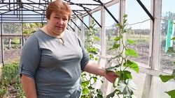 Сергей и Елена Дурневы из Орлика построили теплицу благодаря соцконтракту