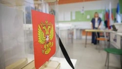 Вячеслав Гладков напомнил белгородцам о необходимости соблюдать меры безопасности на выборах