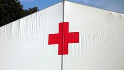 Чернянские активисты Красного Креста отметили профессиональный праздник