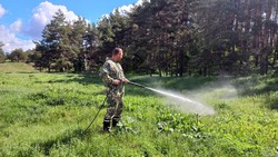 Экстренные службы Чернянского района провели учения по гражданской обороне