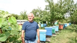 Второе призвание. Виктор Ковалёв из Холок более 25 лет назад увлёкся пчеловодством