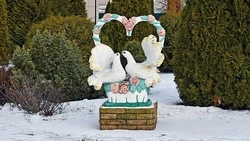 Супружеские пары из Чернянского района смогут получить выплаты в связи с юбилеями совместной жизни