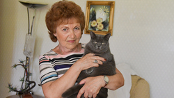 Неравнодушная к животным. Жительница Чернянки Лидия Хрипченко отдаст кошек в добрые руки