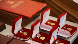 Татьяна Круглякова получила медаль «За заслуги перед Землёй Белгородской» I степени