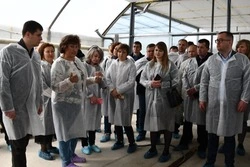 Руководители аграрной отрасли муниципалитетов региона обсудили вопросы господдержки МСП