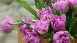 Предприниматели Чернянского района смогут реализовать товар на ярмарке цветов к 8 марта