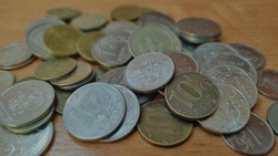 Преподаватель чернянского техникума Екатерина Мишустина — о видах финансовых пирамид