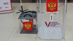 Чернянцы смогут проголосовать за президента на избирательном участке или дистанционно