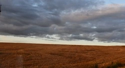 Чернянский краеведческий музей подготовил материал о жительнице районе Нине Шаульской