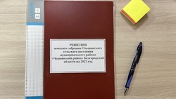 Решение земского собрания Ольшанского сельского поселения от 13.05.2025 года №31/89 