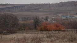 Чернянцы смогут взять в аренду два земельных участка в райцентре