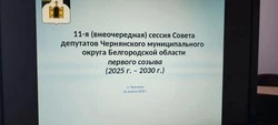 Решение Совета депутатов Чернянского муниципального округа от 30.04.2026 г. № 238