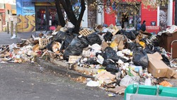 Активисты предложили ЦЭБу организовать пункты сбора мусора в местах массового отдыха людей