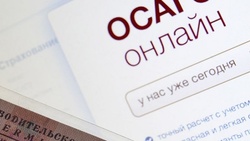 Белгородские водители приобрели с начала года более 28 тыс. электронных полисов