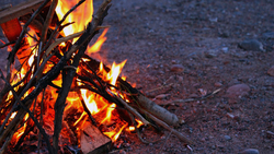 Остановите пал ботвы! Жители Чернянского района пожаловались на дым от сжигания травы