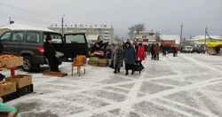 Чернянцы смогут приобрести фермерскую продукцию на ярмарке выходного дня