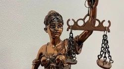 Ранее судимый житель Чернянского округа признан виновным в краже