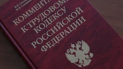 Правительство РФ приняло поправки в трудовое законодательство