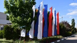 Глава региона Вячеслав Гладков обратился к белгородцам в День Государственного флага РФ