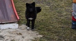 Нина Петращук из Малотроицкого прислала в редакцию рассказ «Дети — герои Донбасса»