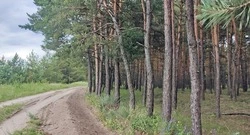 Власти Белгородской области ввели особый противопожарный режим.