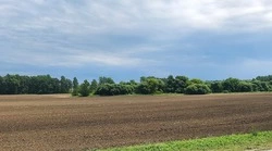 Чернянцы могут взять в аренду земельные участки для ведения личного подсобного хозяйства