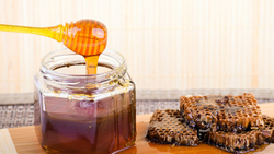 Производство фасованного мёда может появиться в Чернянке