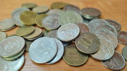 УФНС России по Белгородской области: «Неофициальная зарплата лишит стабильного будущего»