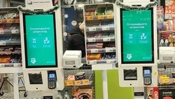 Россияне смогут подтвердить личность или льготы с помощью мессенджера MAX