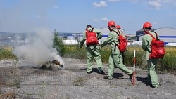 Власти России расширили меры поддержки добровольных пожарных