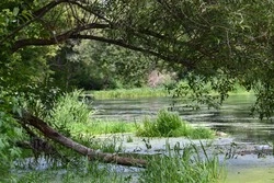 Власти планируют очистить по проекту «Наши реки» 28 объектов, в том числе два в Чернянском районе