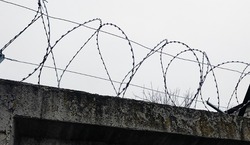 Жительница Старооскольского горокруга обвиняется в краже