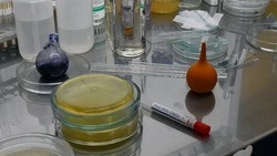 Роспотребнадзор дал советы чернянцам по профилактике респираторных инфекций