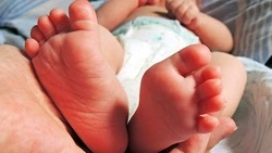 Специалисты отделения СФР по Белгородской области проведут форумы с будущими мамами