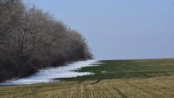 Жители муниципалитета смогут взять в аренду земельный участок в Чернянке