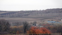Чернянцы смогут взять в аренду земельный участок в райцентре по улице Крупской