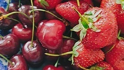 Белгородская область закрепила лидерство в сфере органического производства в 2025 году